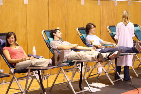 Thumbnail da galeria Dádiva de Sangue - Gualtar